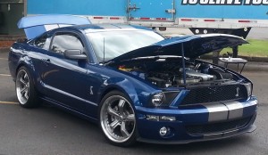 Fred's Mustang