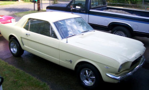 Mitch's 65 Mustang